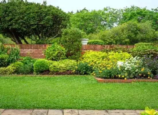 landscaping services Plattsburg